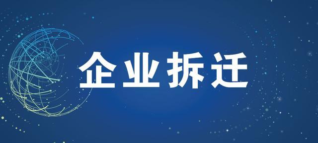 一芽一叶明前茶