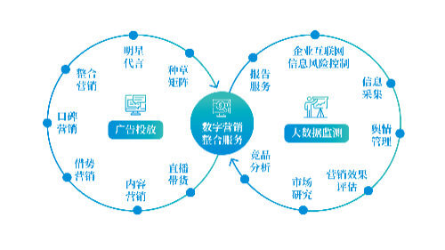 湄潭县的茶叶面积