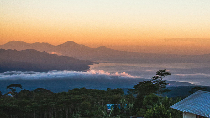 区领导莅临nopay钱包平台制药工厂，亲临一线指导工作