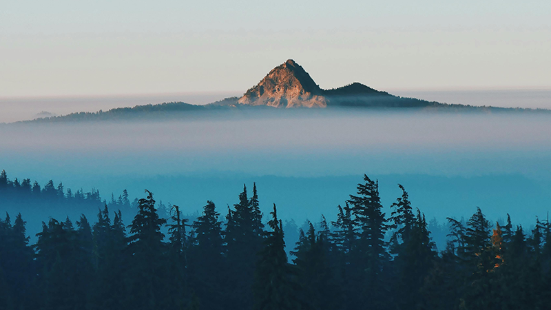 外用药细分龙头nopay钱包平台制药登陆A股，打造“药箱”IP矩阵高筑护城河